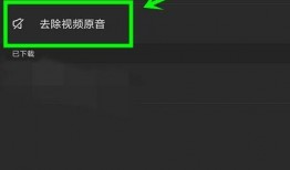 视频中最劲的爆料软件,视频中最劲爆的爆料软件，独家内幕一网打尽！