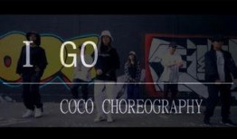 go在线观看,在线观看教程，轻松入门编程之旅