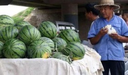 开平网红吃瓜事件,揭秘网络舆论背后的真相与争议