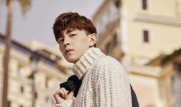 娱乐爆料晏紫东简介,娱乐爆料中的璀璨新星