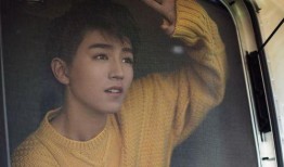 王俊凯爆料叔叔视频大全,叔叔视频大全背后的温馨故事